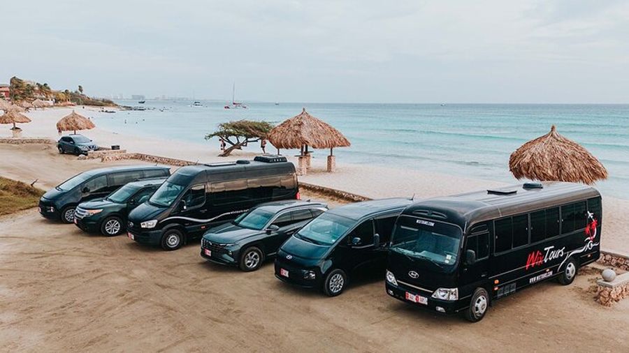 Aruba Queen Beatrix Airport Private Round-Trip Transfer