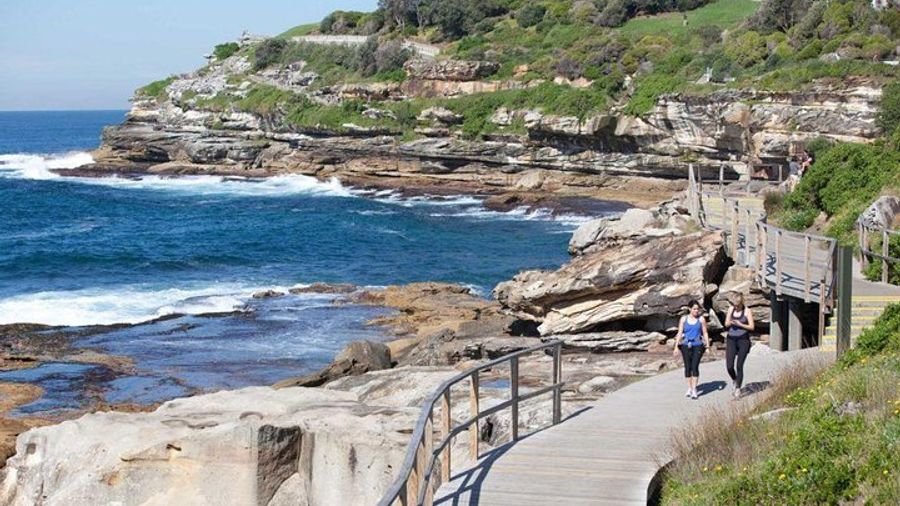 Sydney Highlights and Hidden Gems Private or Small Group Tour