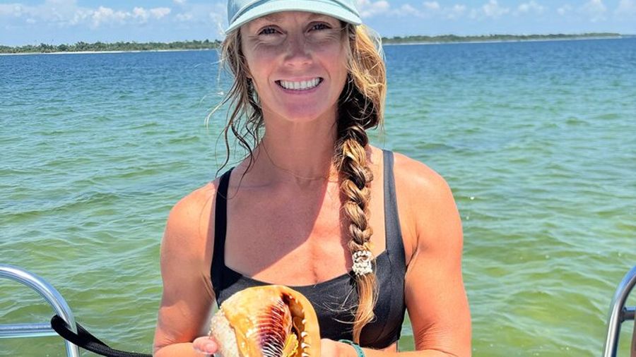 Snorkel Excursion/Dolphin Sightseeing with Good Jibez Only in PCB