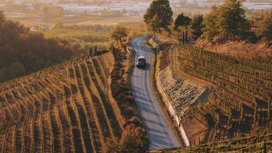 6-hour Private Luxury SUV Wine Tour in Napa Or Sonoma Valley