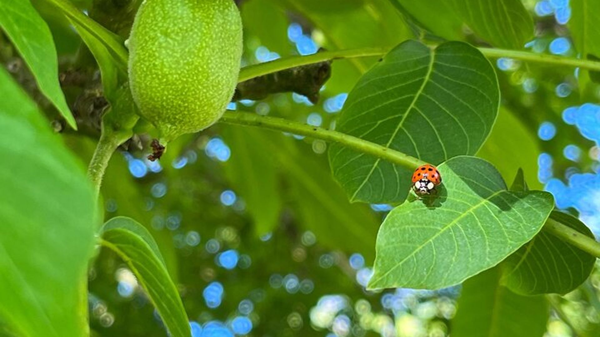 Visite Privée en immersion à la Noyeraie avec dégustation
