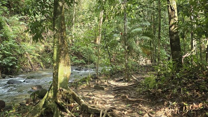 Phuket 4 Waters Eco-Adventure Small-Group Trip with Lunch