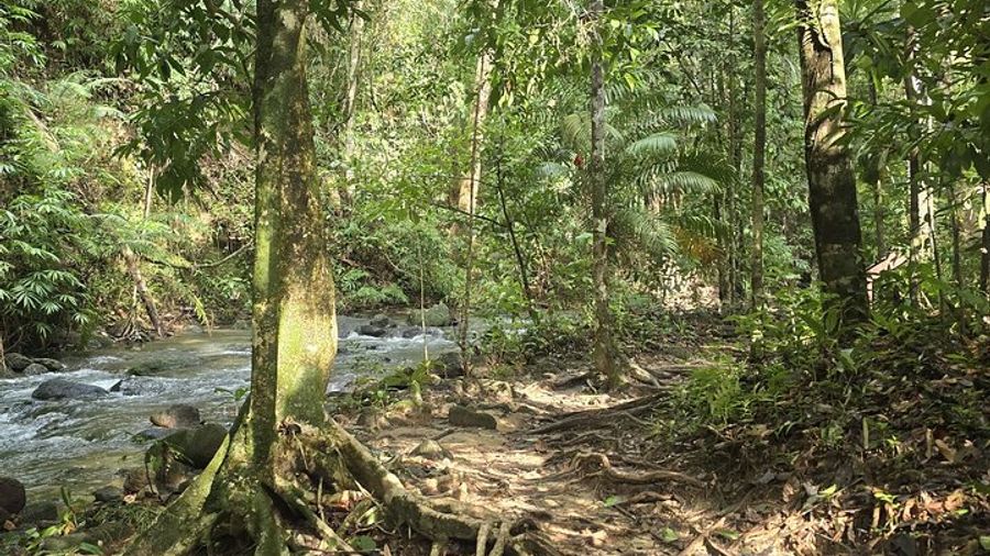 Phuket 4 Waters Eco-Adventure Small-Group Trip with Lunch