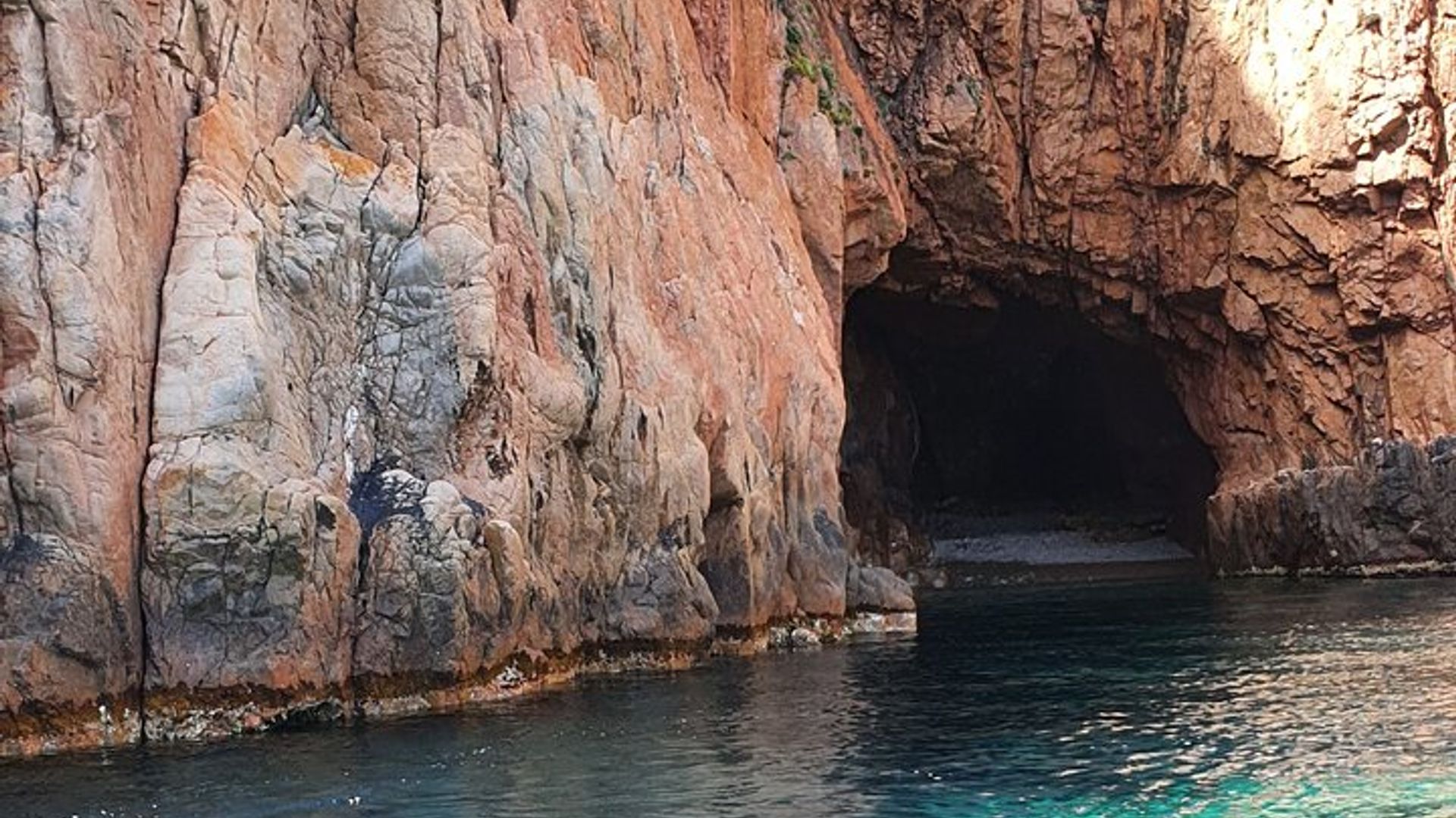 De Sagone/Cargèse: Calanques de Scandola Piana Girolata Natação