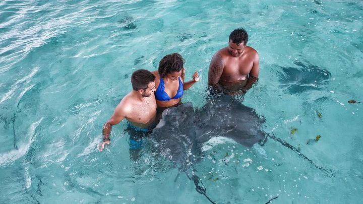 Bora Bora Eco Snorkel Cruise Including Snorkeling with Sharks and Stingrays