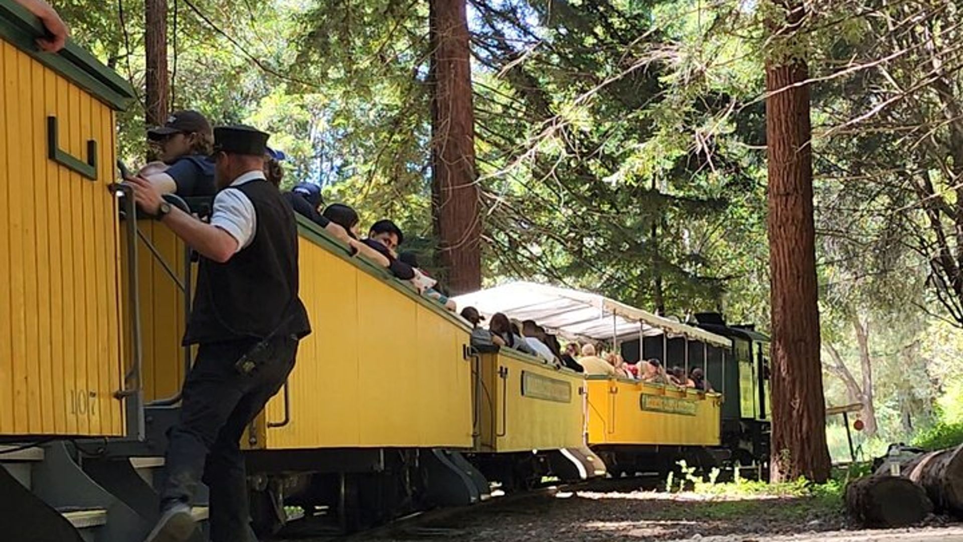 Train Ride Adventure through Mother Natures Giant Redwoods Park image 3