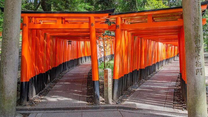 From Kyoto / Osaka: Kyoto Must-see Spots & Nara Park One Day Tour