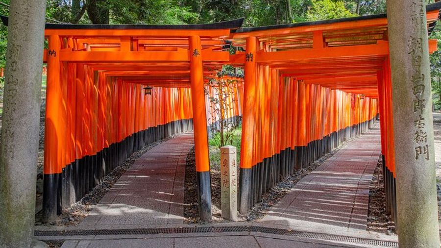 From Kyoto / Osaka: Kyoto Must-see Spots & Nara Park One Day Tour