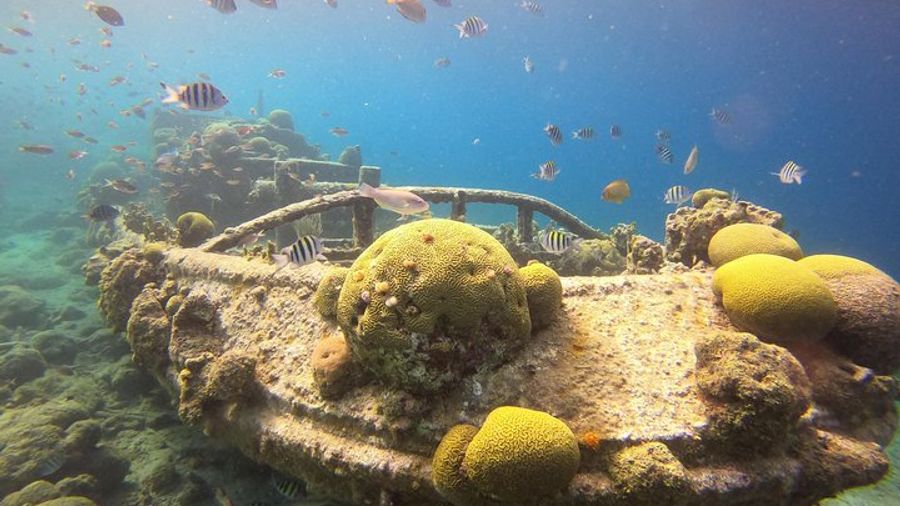 Snorkel Tour in Curacao