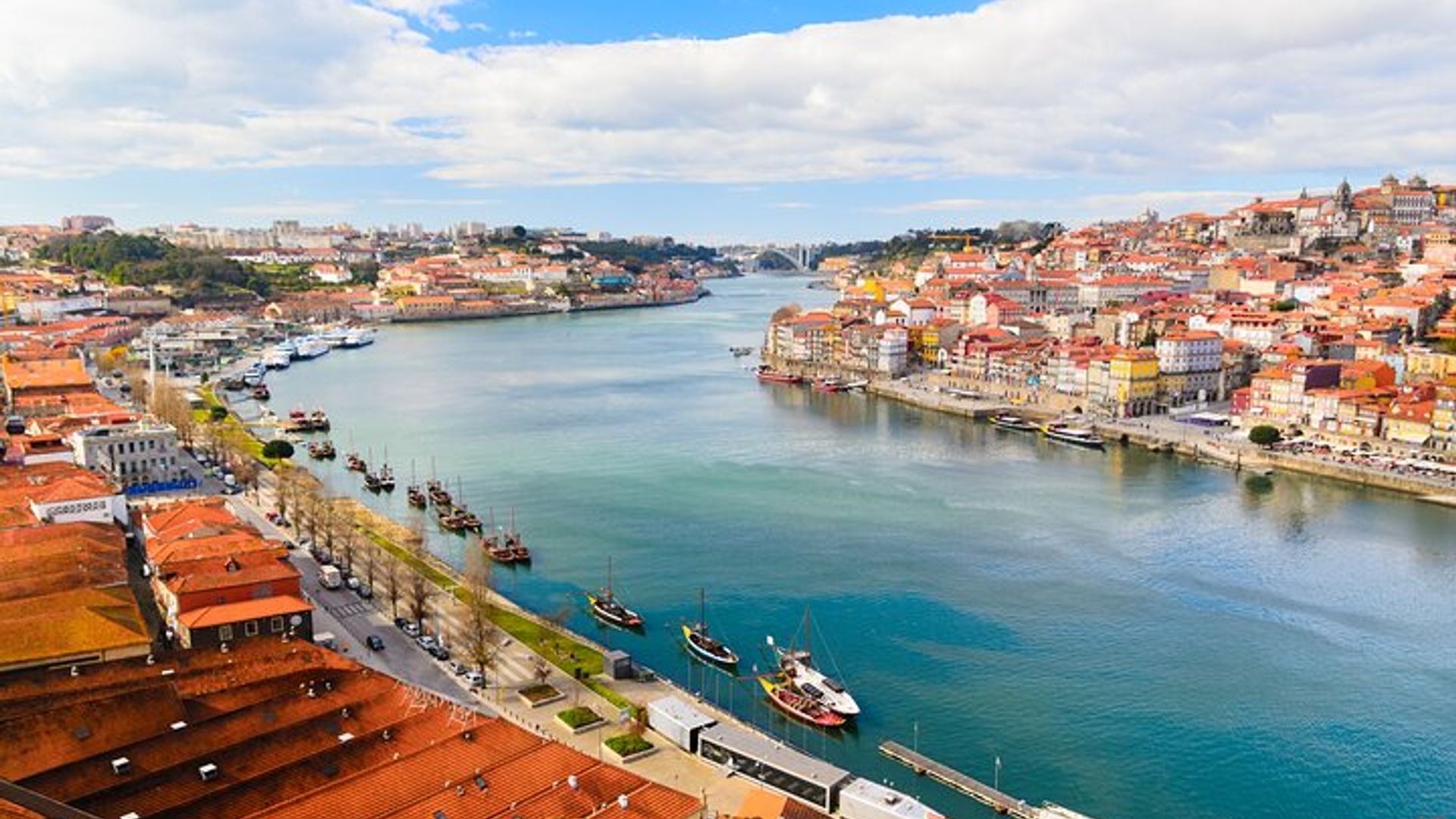 Porto Half Day Tour With Wine Tasting