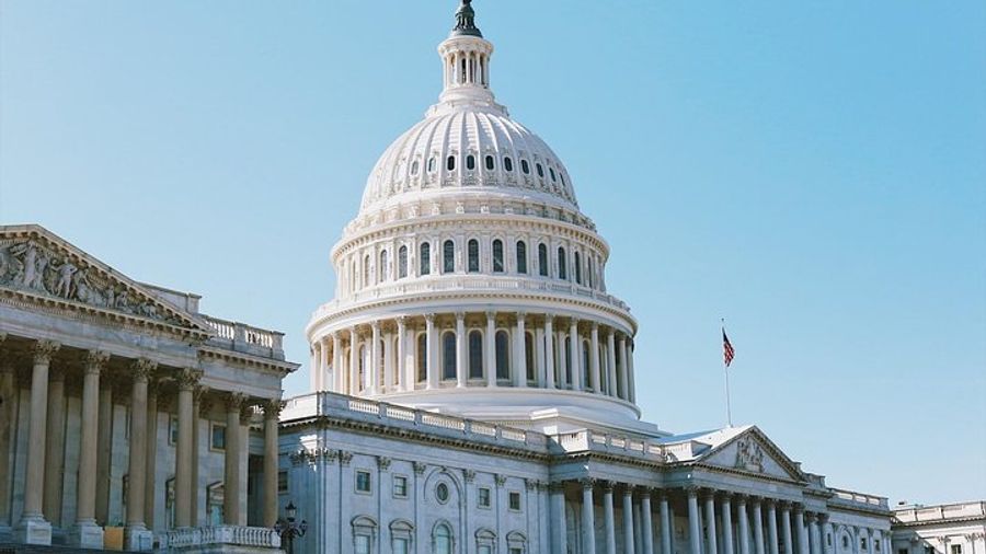 Small Group Walking Tour of Capitol Hill