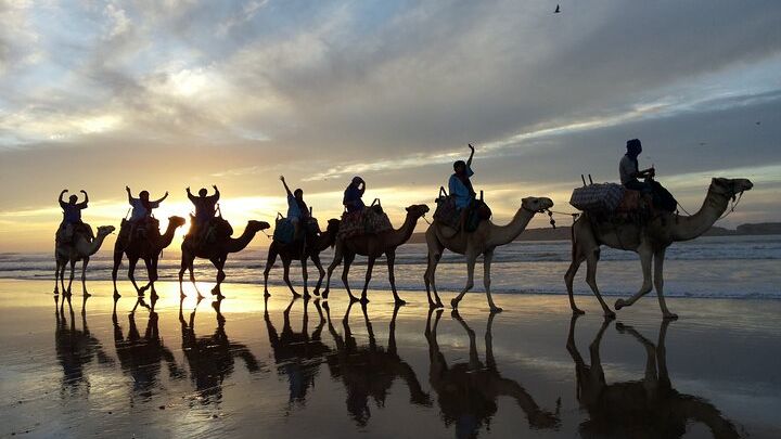 Essaouira Dromedary Camel Sunset Ride Along the Beach