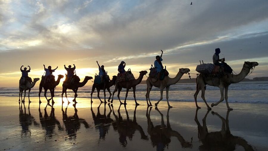 Essaouira Dromedary Camel Sunset Ride Along the Beach
