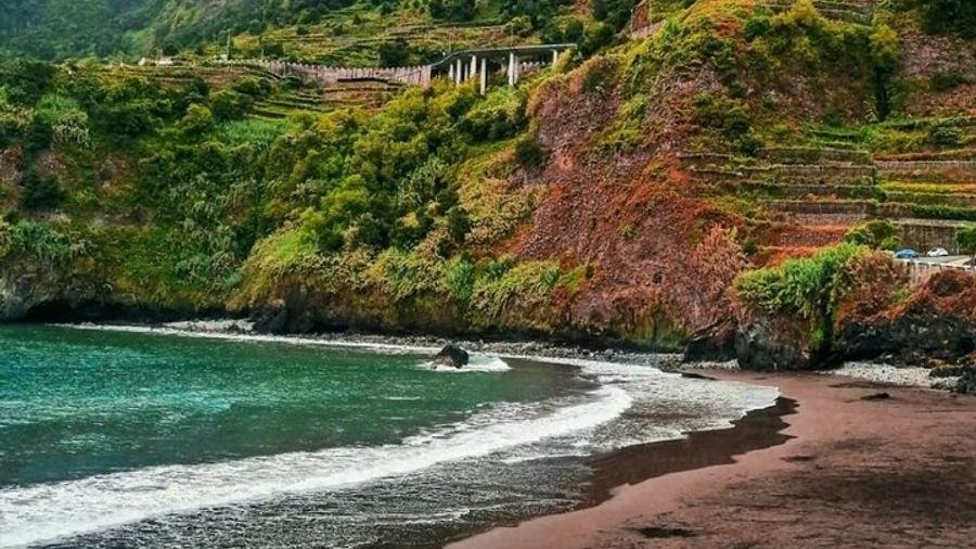 West Madeira Island Guided Tour & Fanal Mystic Forest