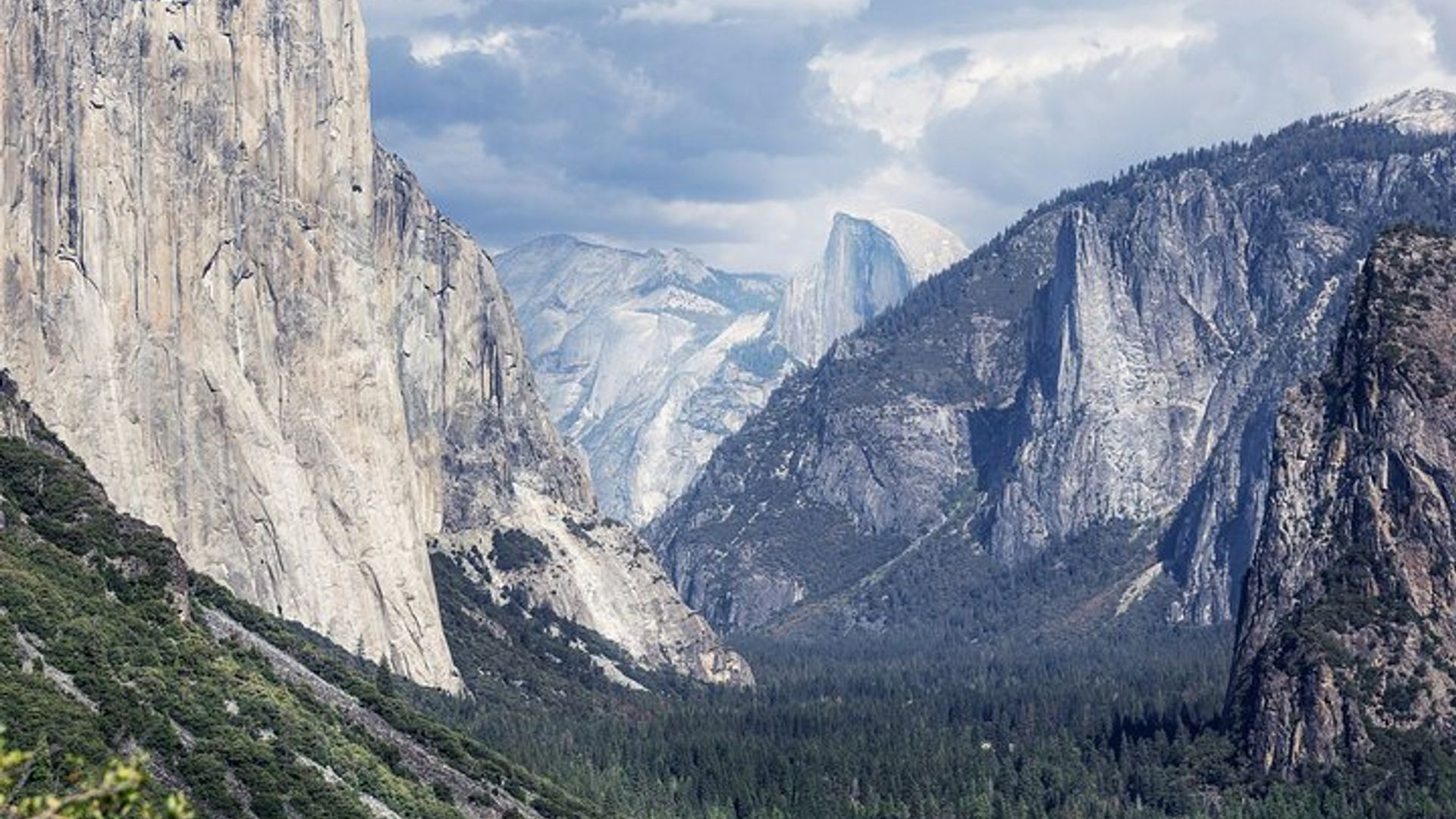 Yosemite Adventure: Full-Day Private Tour from San Francisco image 1