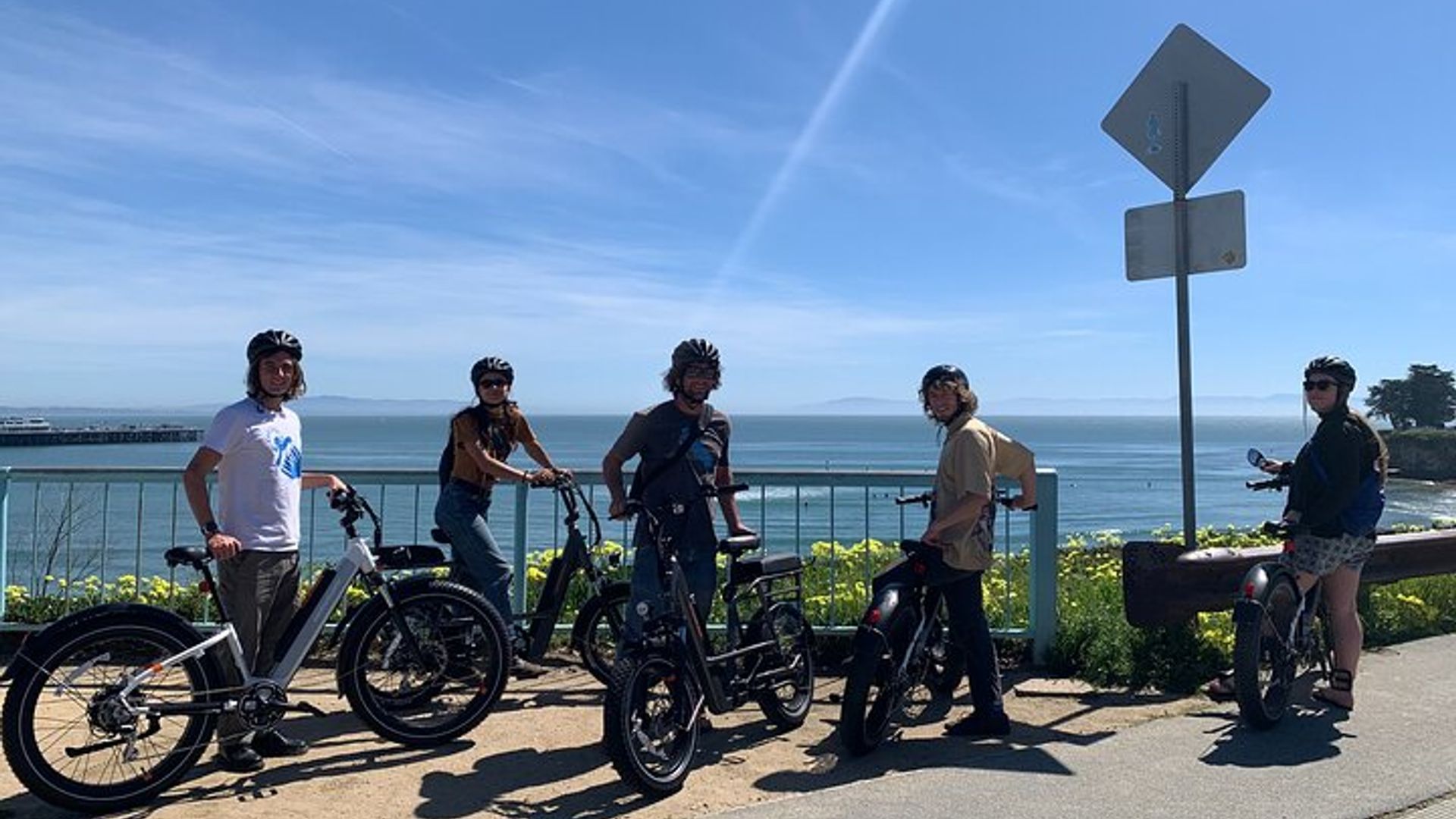 Tour guiado de 2 horas en bicicleta eléctrica por Santa Cruz para grupos pequeños de bicicletas eléctricas