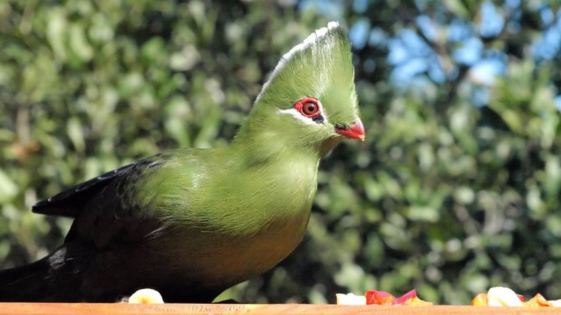 Cape Town 3-Day Garden Route Private Tour with Car and Driver