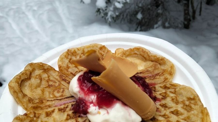 Oslo Forest Hike With Fjord Views and Waffles Half-Day Tour