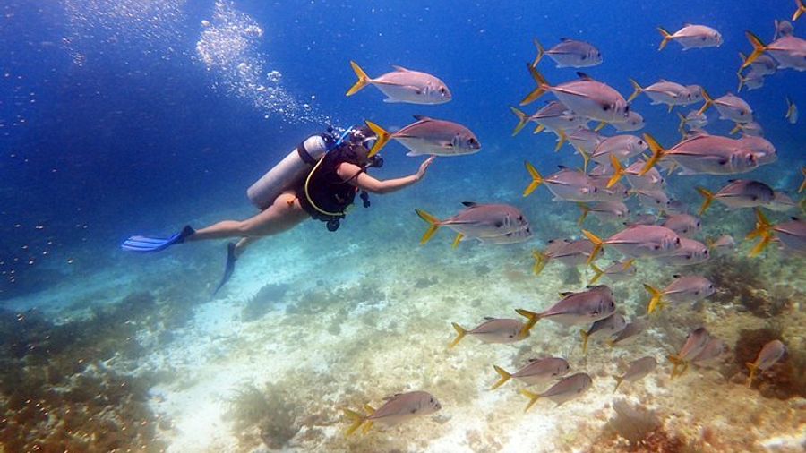 Cancun Beginners Scuba: Small Group, Two Tanks, Two Dives