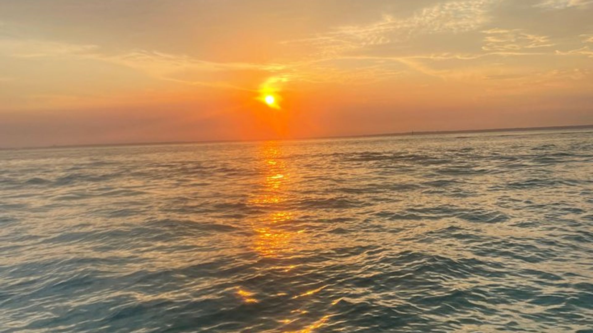 Delfinbeobachtungstour bei Sonnenuntergang