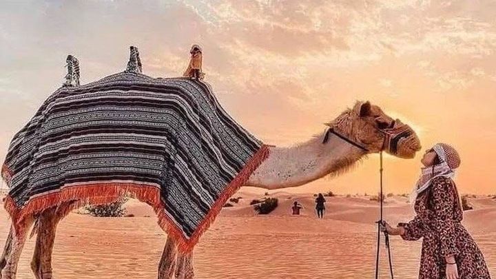 Dubai Desert Safari Adventure With BBQ, Live Shows, and Pickup