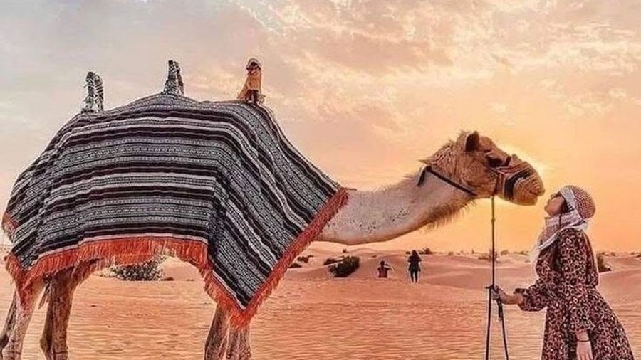 Dubai Desert Safari Adventure With BBQ, Live Shows, and Pickup