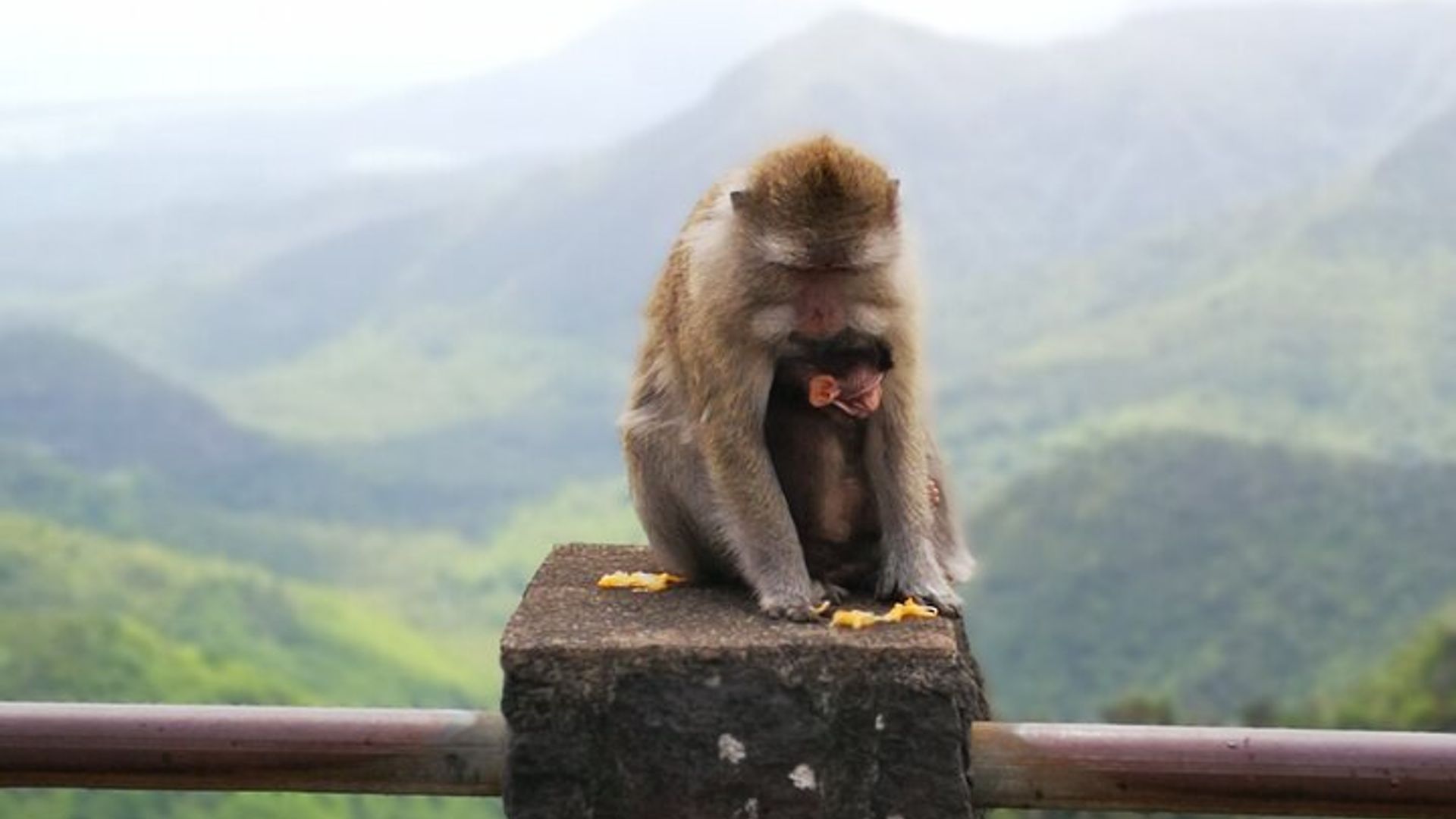 Mauritius Private Sightseeing Tour