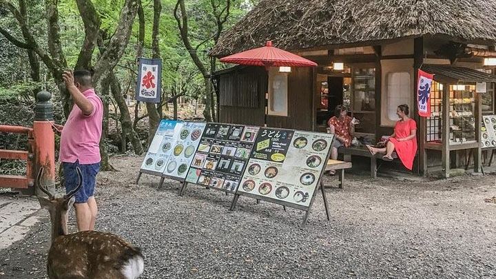 Nara Private Day Trip - Enjoy Your First-Time Visit to Nara!