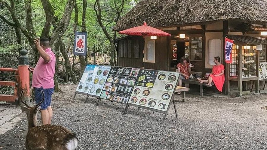 Nara Private Day Trip - Enjoy Your First-Time Visit to Nara!