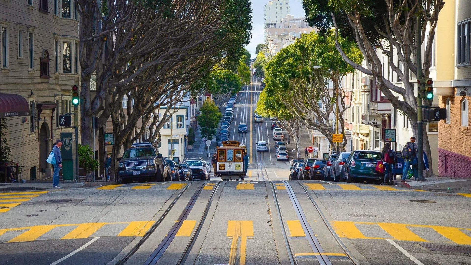 San Francisco Grand City Tour & Escape from the Rock Bay Cruise image 3