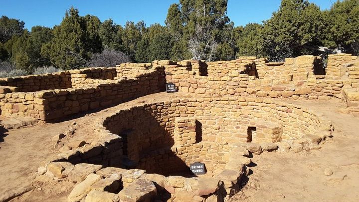 Private Tour of Mesa Verde With an Archeologist-Trained Guide