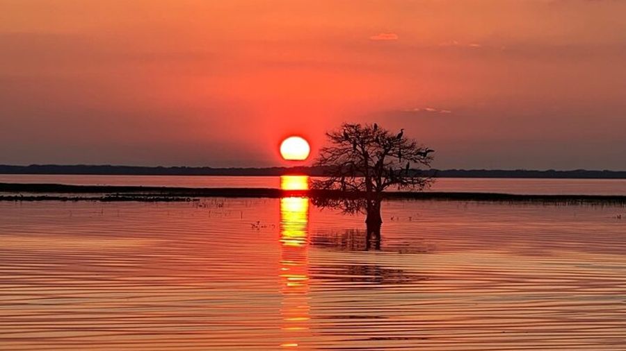 A sunset airboat tour of the Florida Everglades