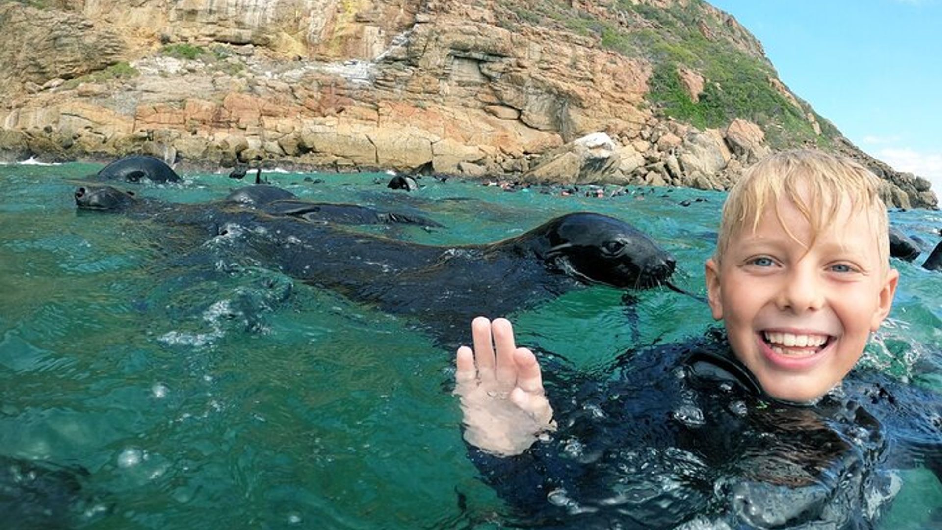 Nager avec les phoques à Plettenberg Bay