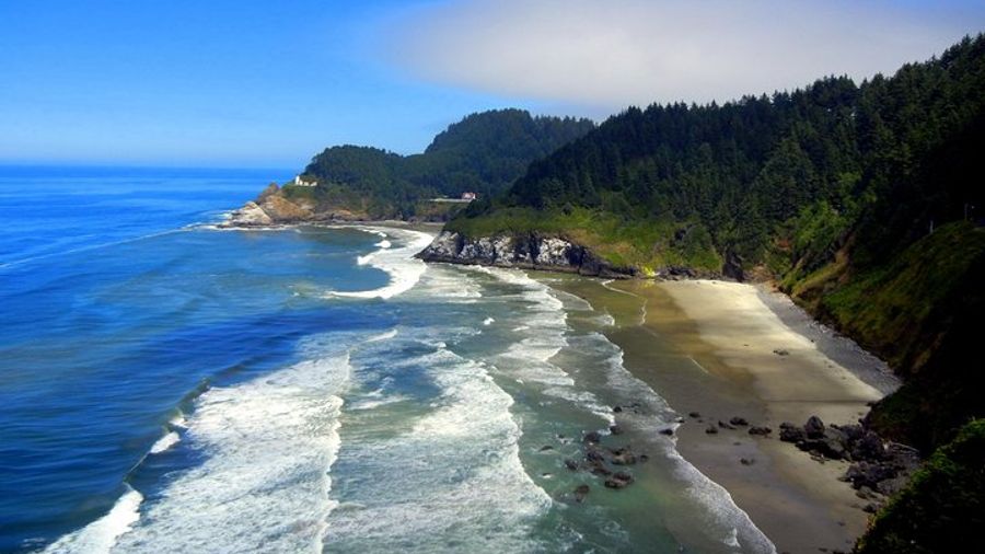 Oregon Coast Highway 101 Small-Group Road Tour From Portland