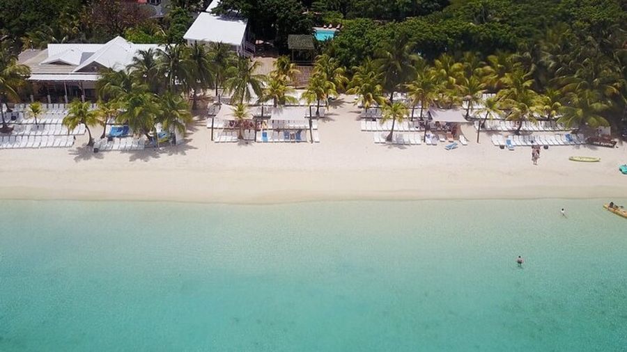 Roatan's ORIGINAL Zip-n-Dip: Zipline, Sloths & West Bay Beach