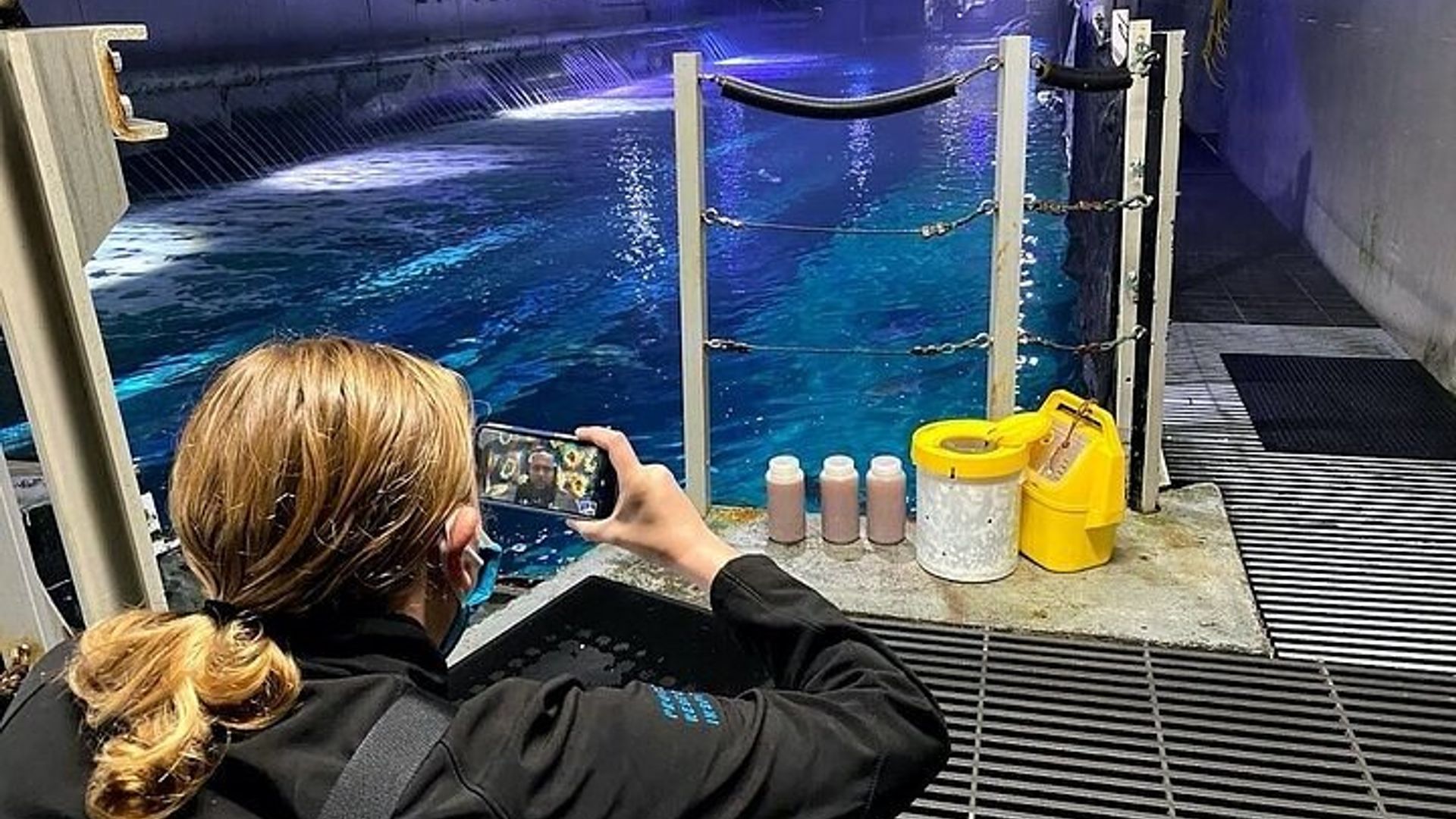 San Francisco Aquarium of the Bay VIP Experience image 2