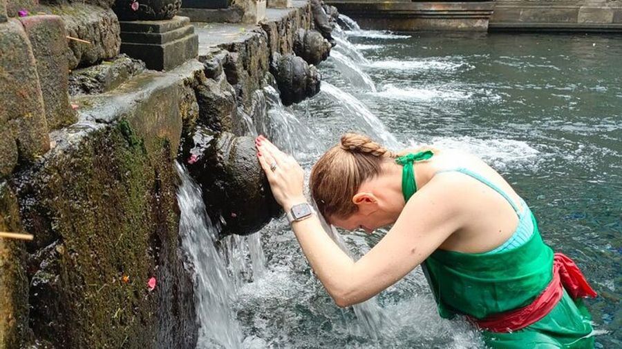 Ubud Private Sightseeing Day Trip with Onboard Wi-Fi