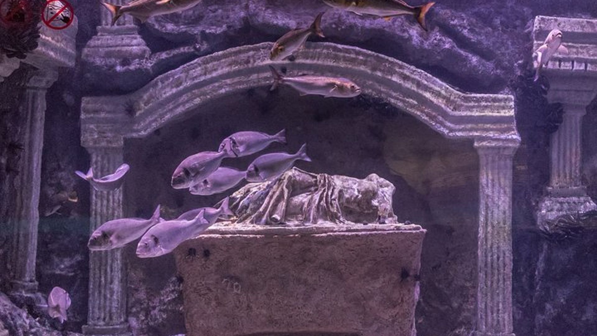 Aquarium & Face2Face Wachsmuseum von Belek