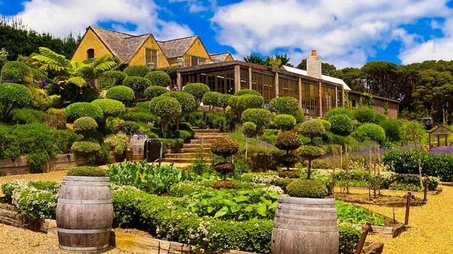 Waiheke Island Small-Group Wine Tasting Tour