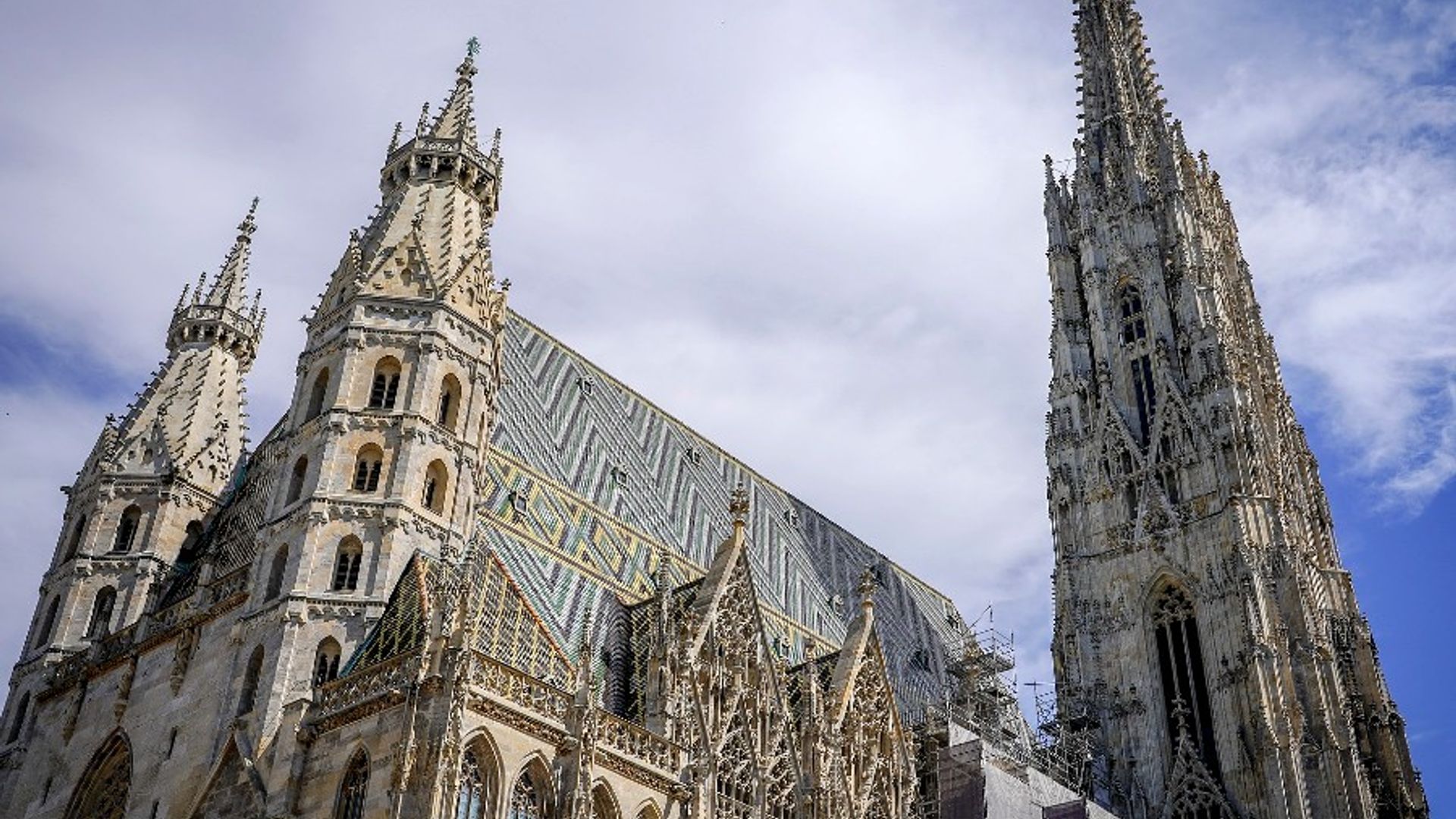 The Catacombs of St. Stephen’s Cathedral: Private 2.5-hour Tour