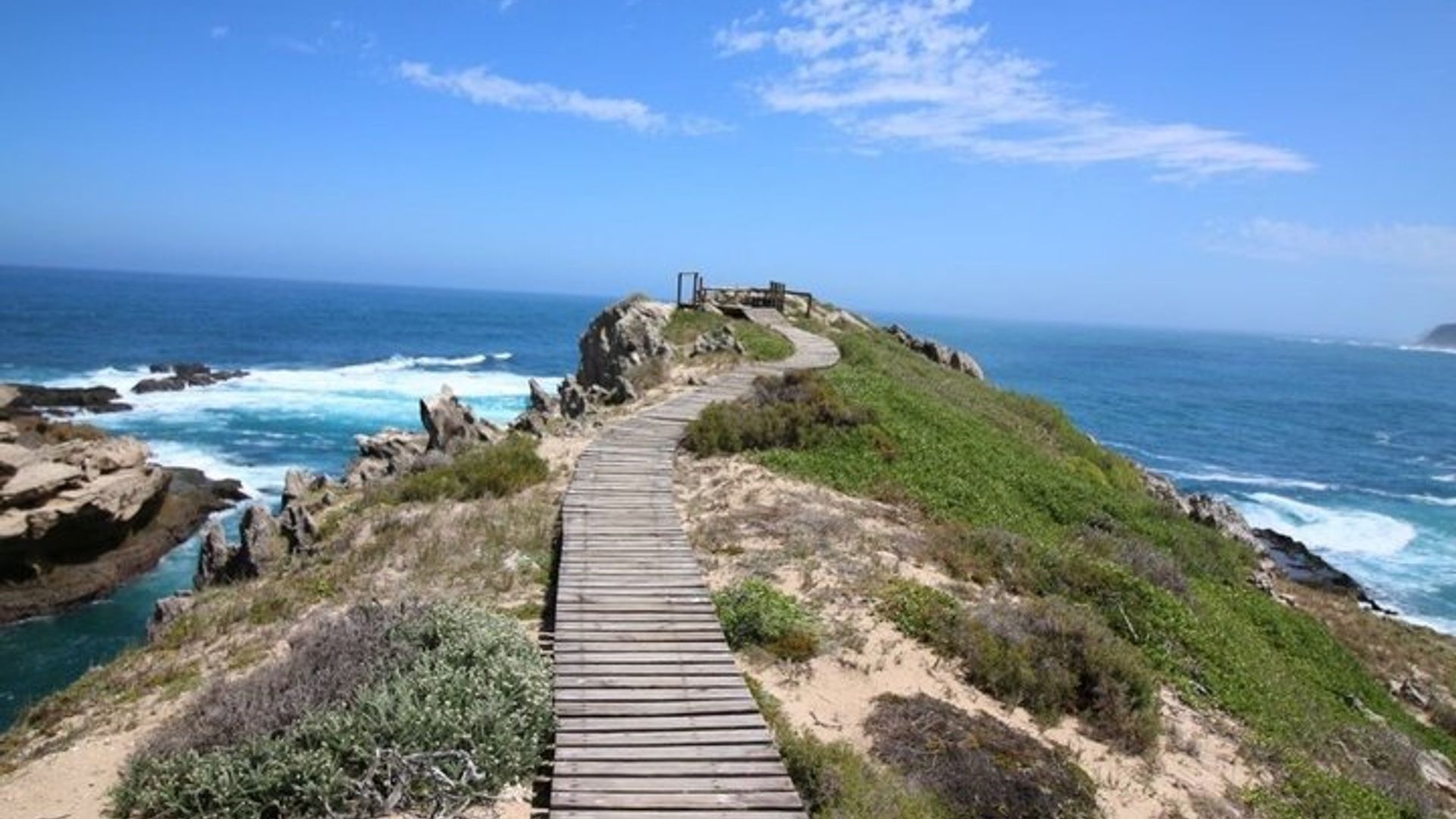 Safari en petit groupe de 4 jours au départ de CapeTown commence tous les jours