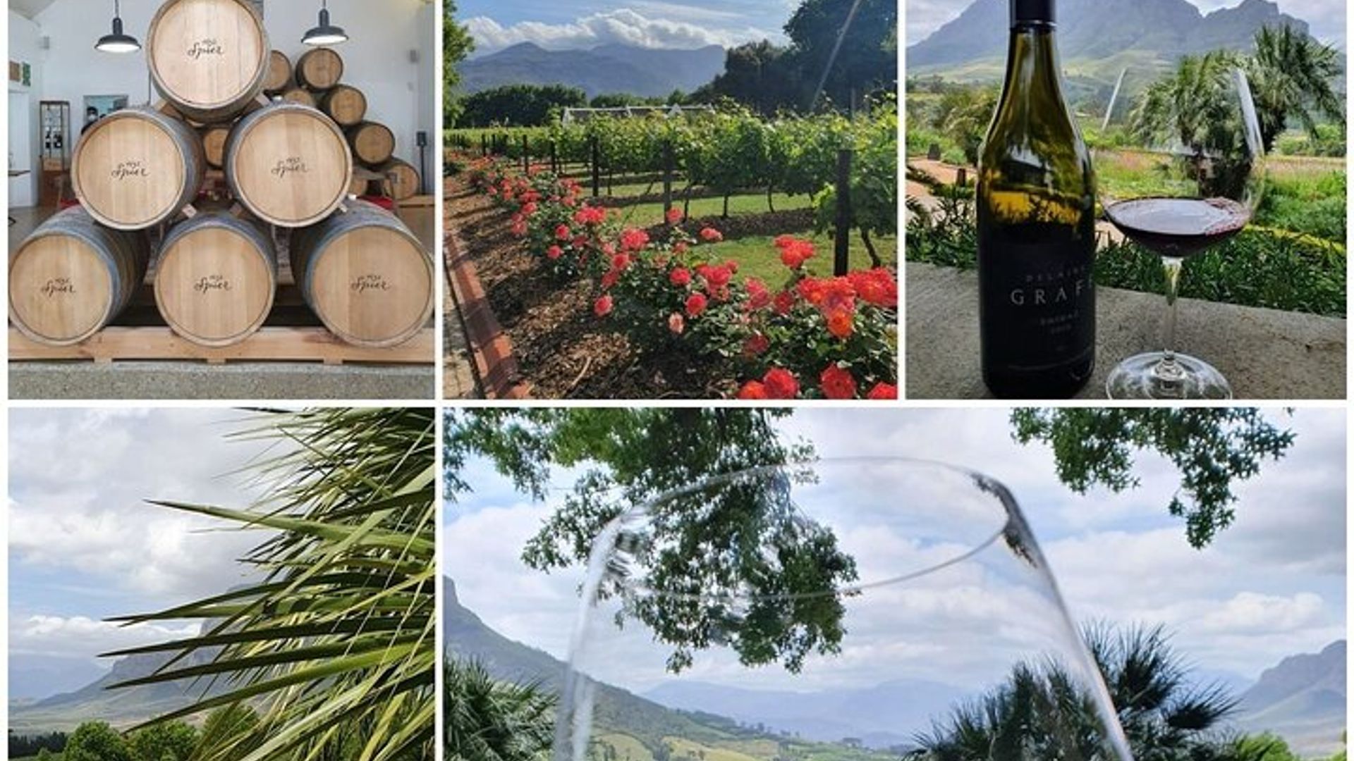 Vignobles familiaux et faune : Stellenbosch et Paarl