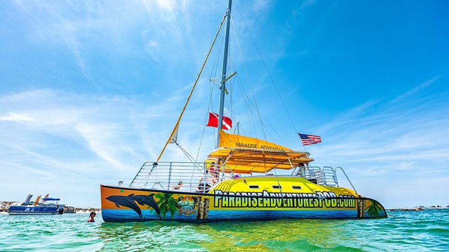 Snorkel & Dolphin Sightseeing Tour Aboard the Footloose
