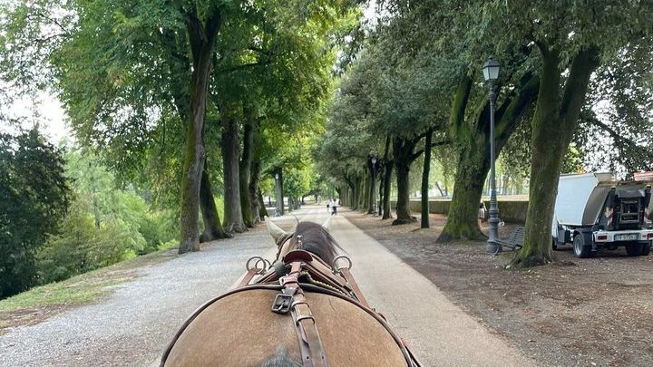 1-Hour Carriage Tour – Historic Center and Renaissance Walls