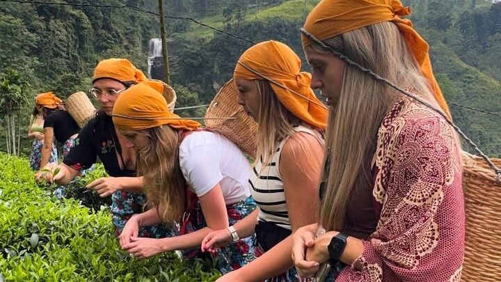 Kandy City and Around Highlights Private Day Tour With Driver