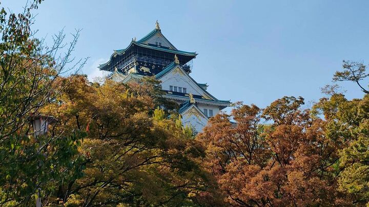 Osaka Small-Group Walking Tour with Lunch