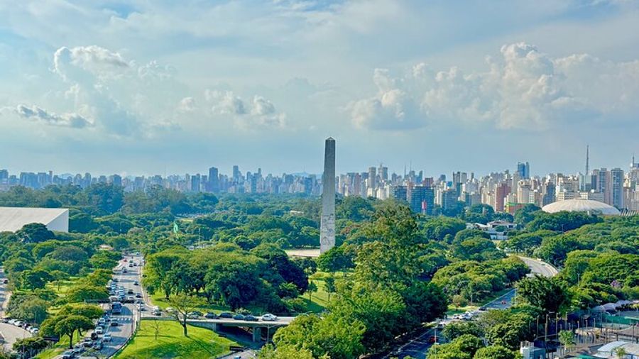 Private Tour: São Paulo's Top Attractions–6 Hours, Hotel/Airport