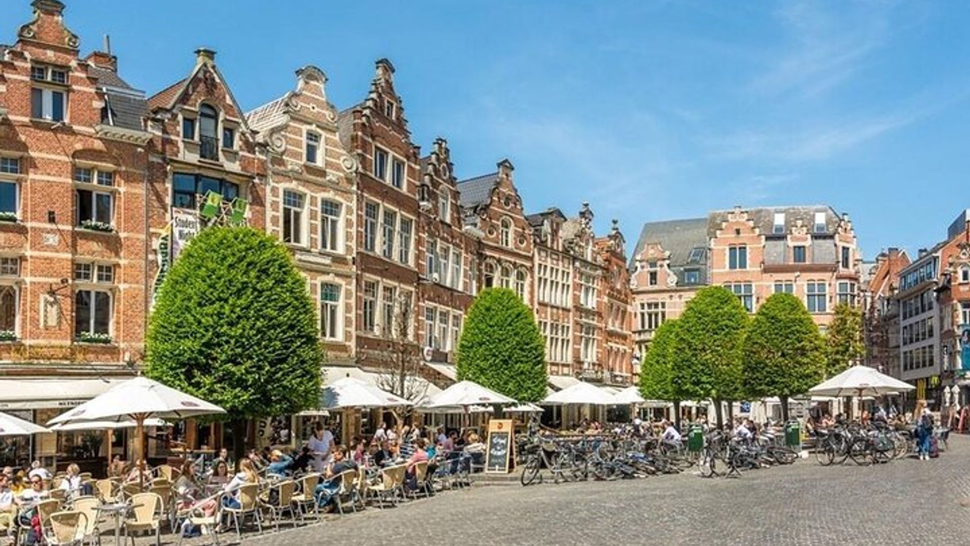Historical Leuven: Private tour with Local Guide