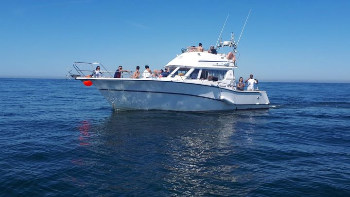 Cascais Small Group Deep-Sea Fishing Experience