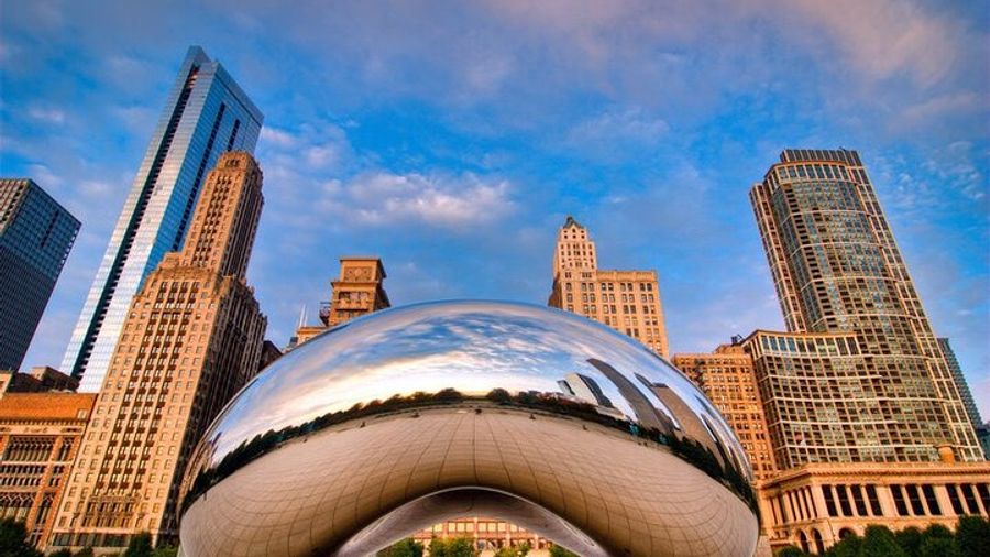 Chicago Private Custom City Tour with Hotel Pick Up